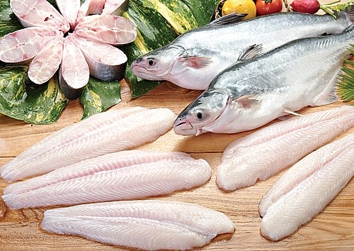 Cá Tra – Thế Mạnh Phát Triển 2026 Của Đại Cát Tường Seafood