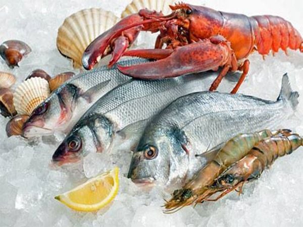 Tổng Kết Năm 2025 Và Khen Thưởng Cuối Năm Tại Đại Cát Tường Seafood