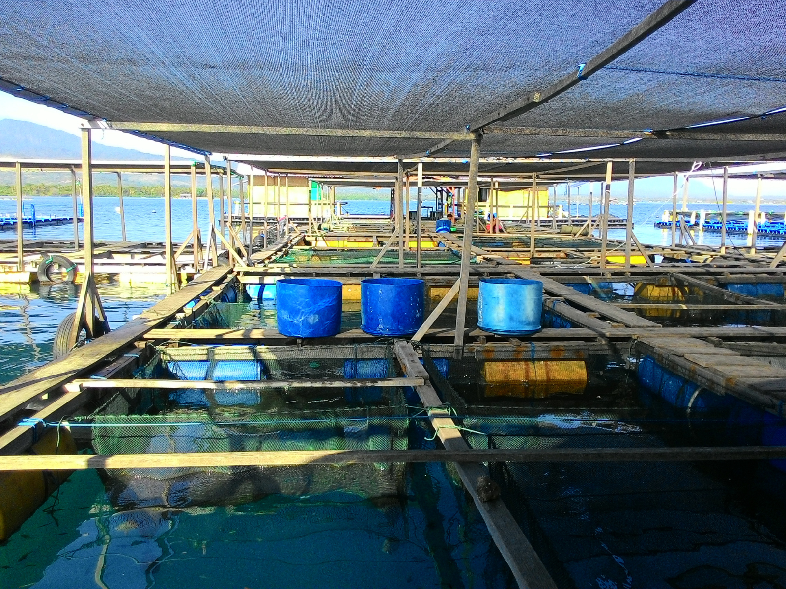 ĐÔI NÉT VỀ ĐẠI CÁT TƯỜNG SINCE 2002