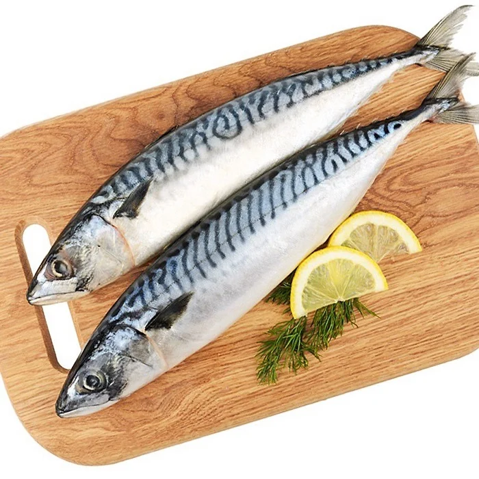 Cá Thu Tươi Ngon – Nguồn Cung Cá Thu Chất Lượng Tại Đại Cát Tường Seafood