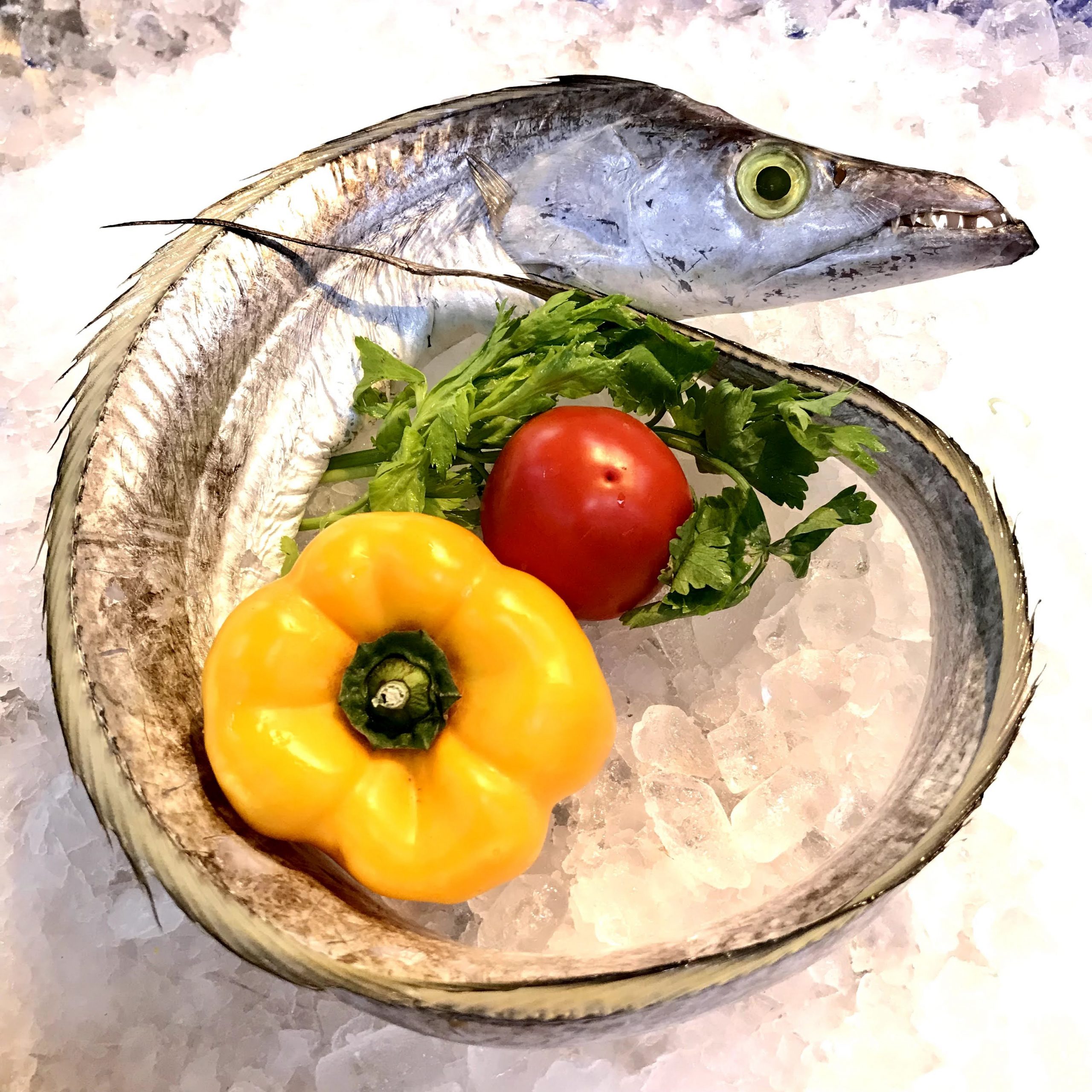 Cá Hố Tươi – Nguồn Hải Sản Giá Tốt Tại Đại Cát Tường Seafood